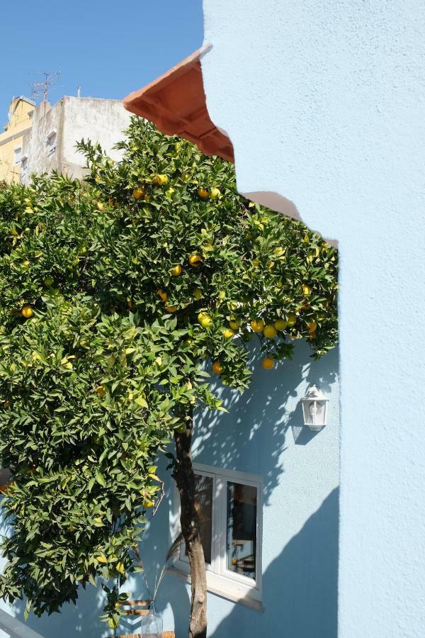 Apartamento Estudio