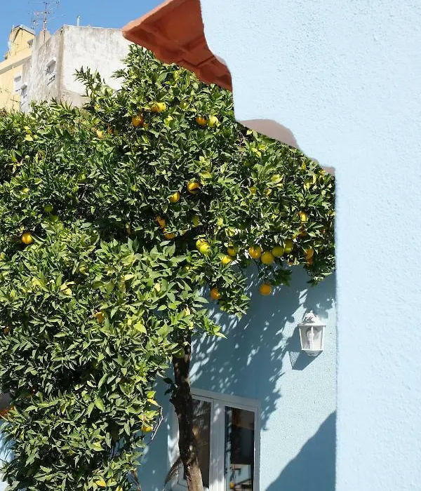 Proa D'Alfama Guest House-1