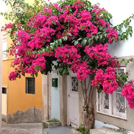 Proa D'Alfama Guest House-3