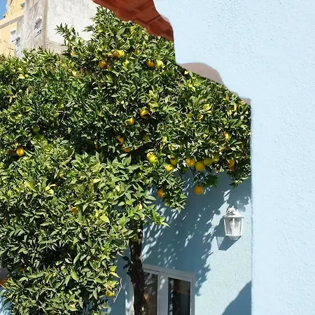 Proa D'Alfama Guest House-2